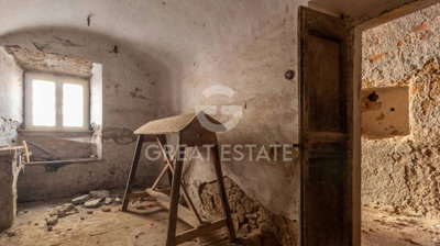 Photo_6