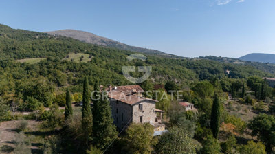Photo_4