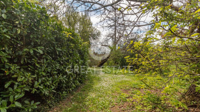 Photo_7