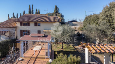 Photo_3