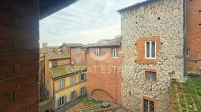 Photo_1