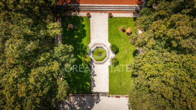 Photo_4