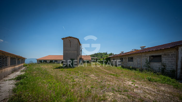 Image No.14-3 Bed Country House for sale