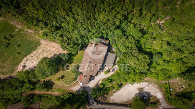 Photo_3