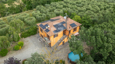 Photo_4