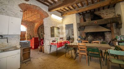 Photo_5