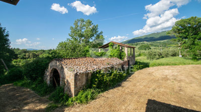 Photo_9