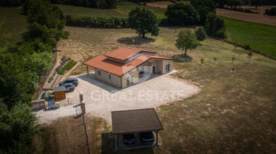 Photo_7