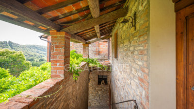 Photo_12