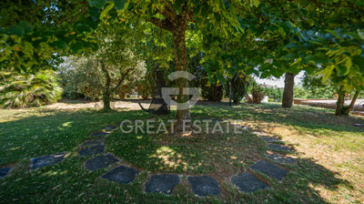 Photo_14