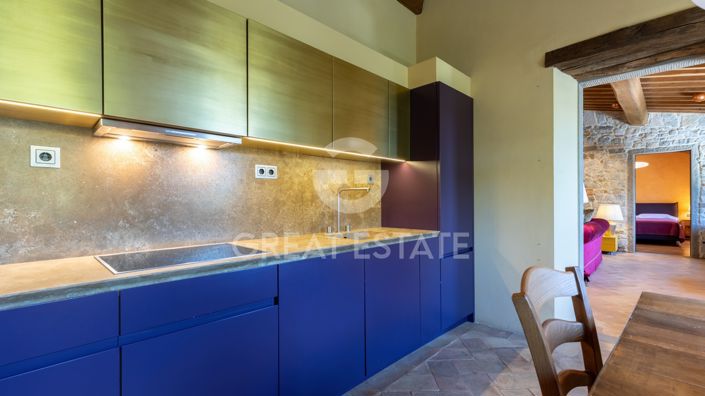 Image No.54-7 Bed Country House for sale