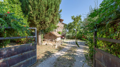 Photo_8