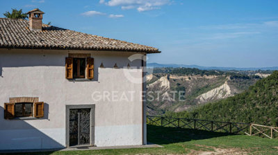 Photo_14