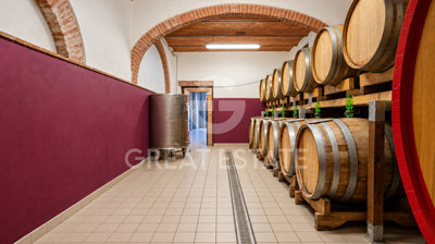 Photo_5