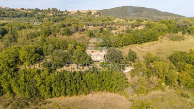 Photo_10