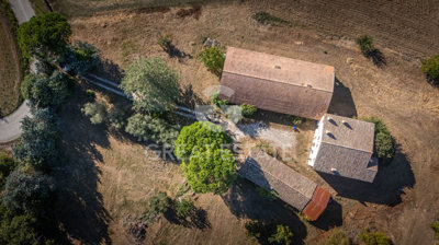 Photo_4