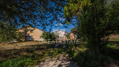 Photo_6