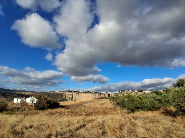 Image No.2-Maison de campagne de 1 chambre à vendre à Ronda