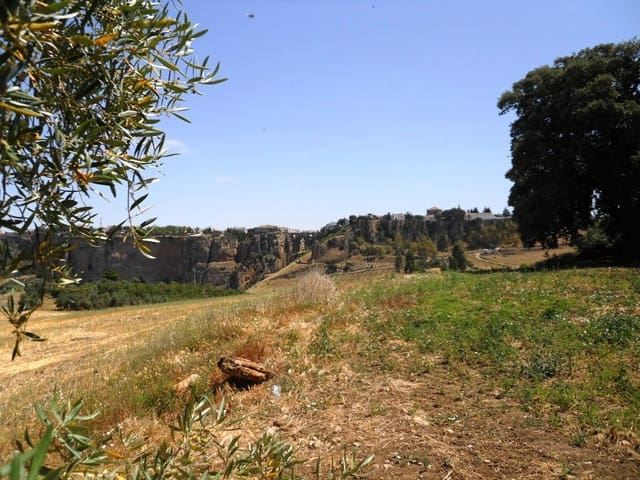Image No.3-Maison de campagne de 1 chambre à vendre à Ronda