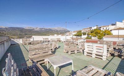 RG2603TH---Terras