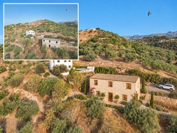 Riogordo-Countryhome-Horses-Garden-View-Andalucia-9.jpg