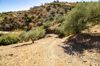 Riogordo-Malaga-Campo-Olive-Andalucia-16.jpg