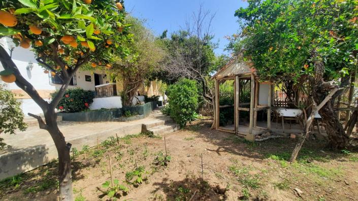 Image No.20-Finca de 5 chambres à vendre