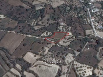 58812-land-in-amargetifull