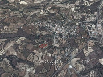 58813-land-in-amargetifull
