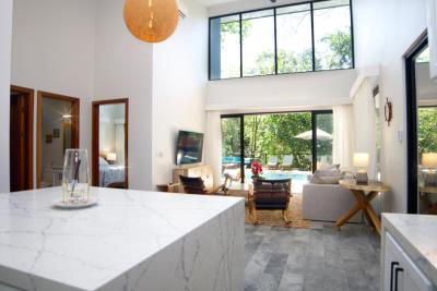 Colibri-from-kitchen-view-living-room