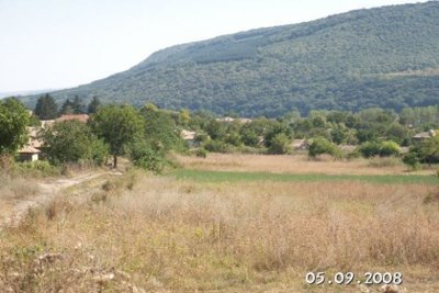 Property photo 13