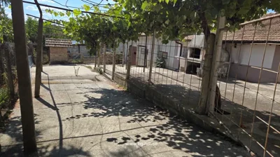 Concrete courtyard with grapevine trellis and fenced area next to white building.