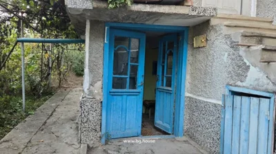 Open blue double doors leading into the house, with a concrete path and grapevine trellis visible on the left side.
