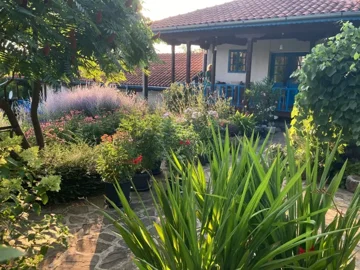 View of a garden with flowering plants and shrubs leading to a house with a tiled roof and wooden porch.