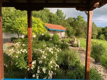 View of a garden with white flowering plants and a stone pathway from under a wooden porch roof.