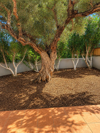 House-for-sale-Tavronitis-with-garden