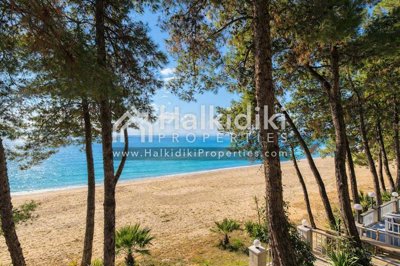 beach-view