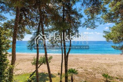 beach-view