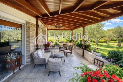 terrace