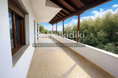 terrace