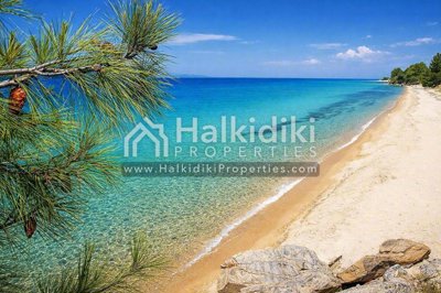 beach-view