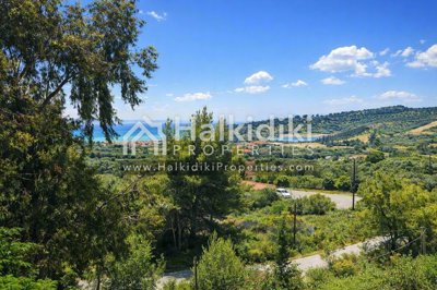 panoramic-view