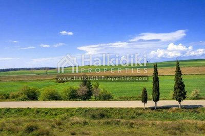 land-surroundings