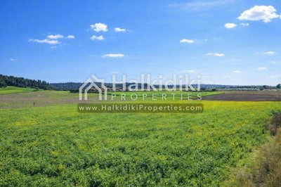 land-plot