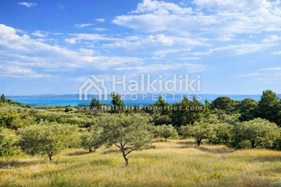 panoramic-view