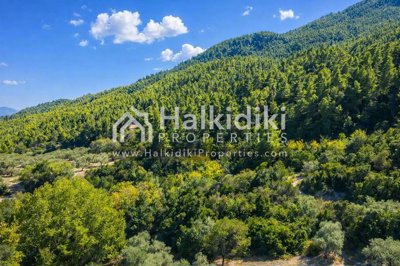 mountain-view