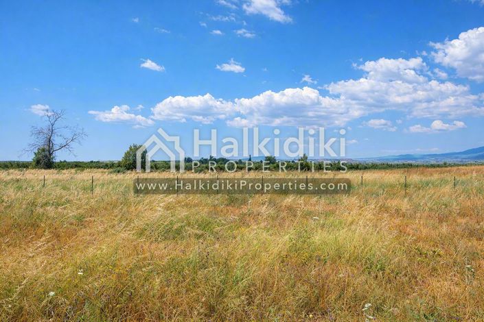 Image No.3-Land for sale