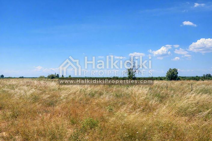 Image No.5-Land for sale