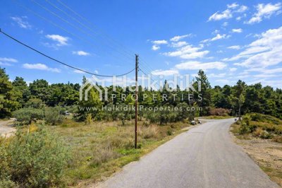 land-surroundings