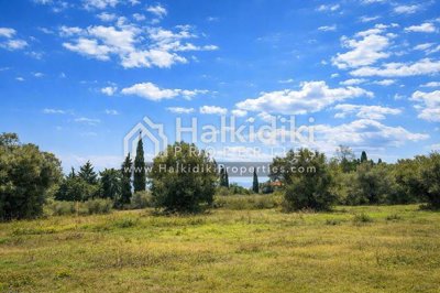 land-plot